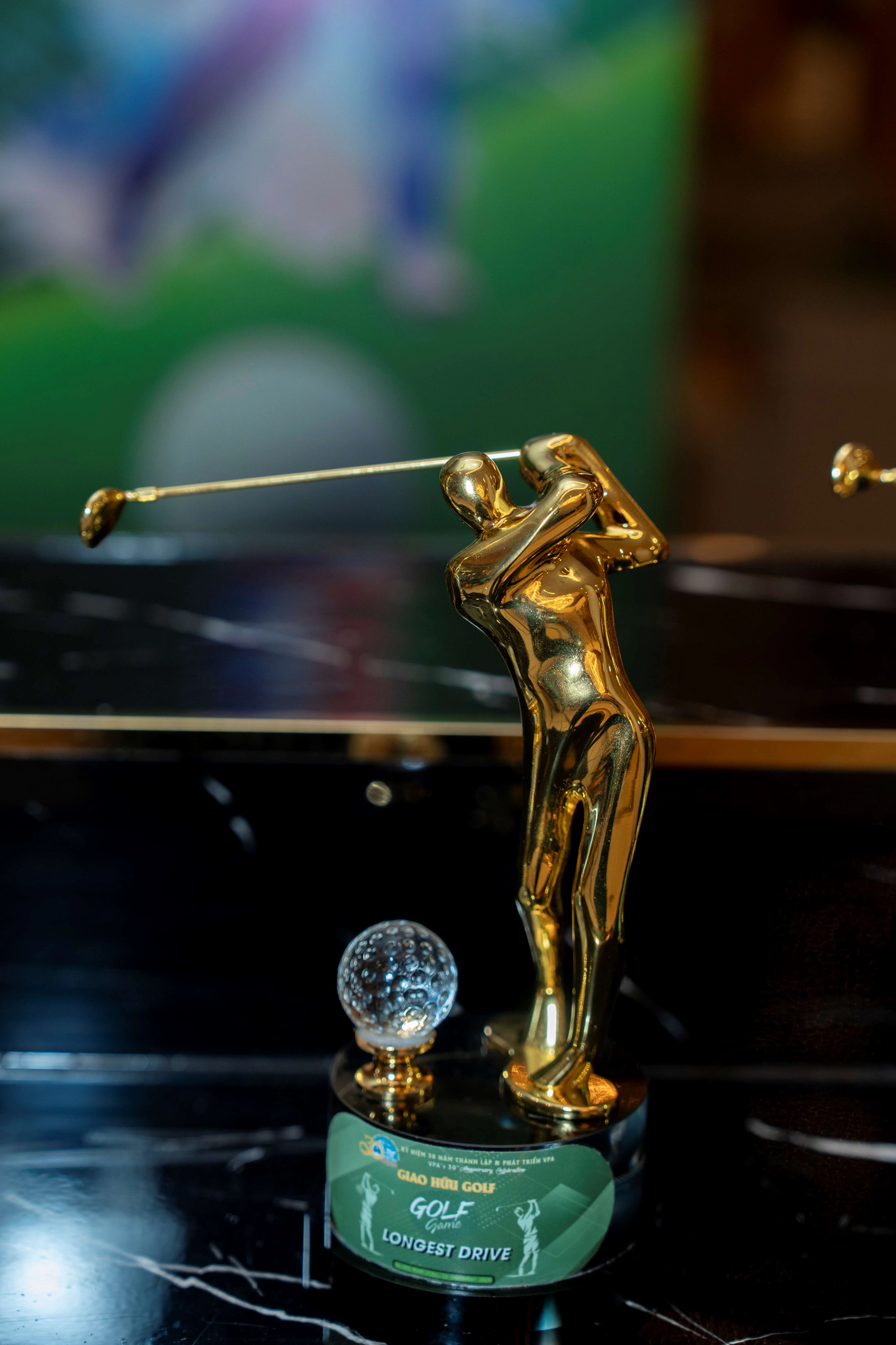 Hình ảnh hội thao tại sân golf