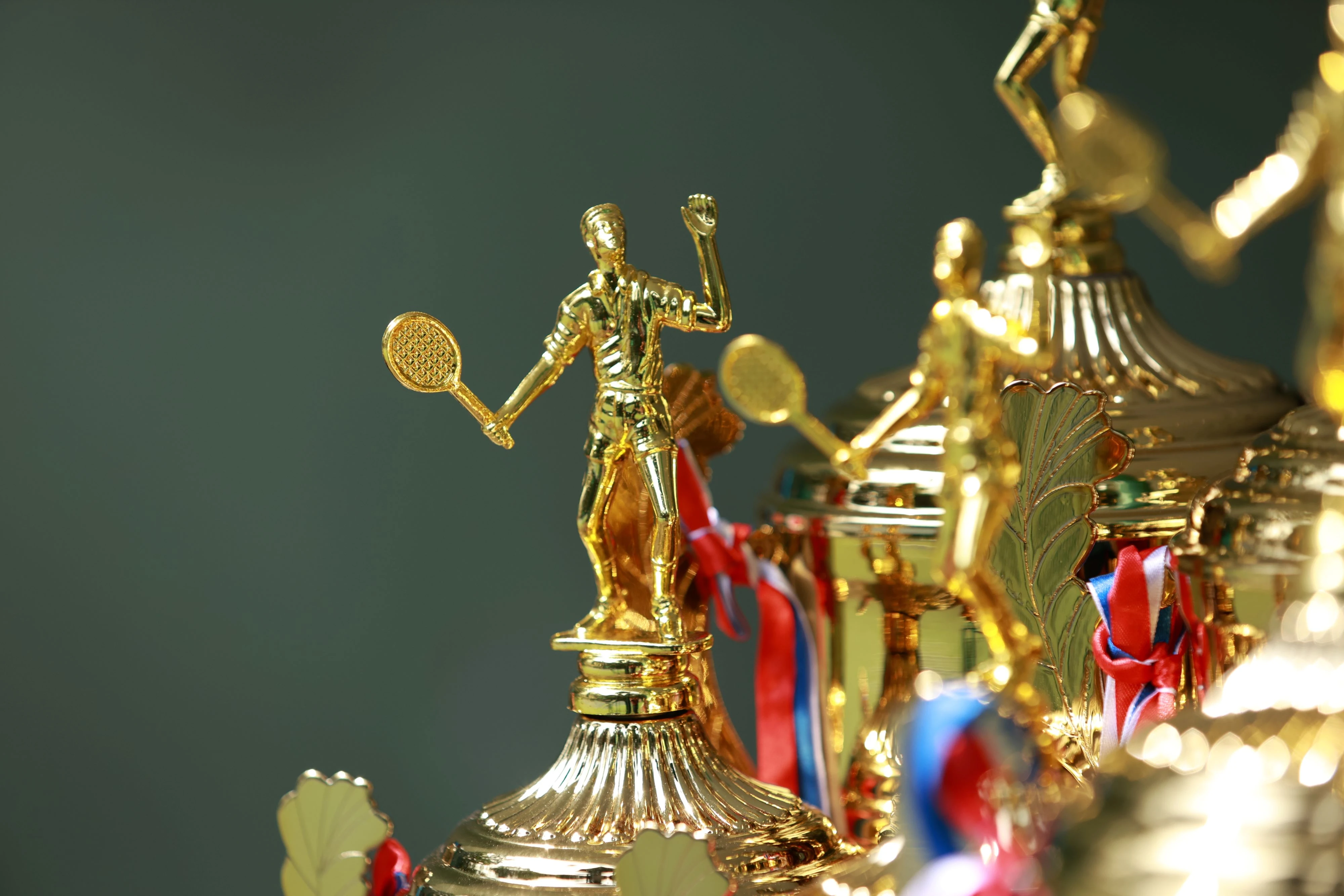 Hình ảnh hội thao tại sân tennis